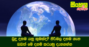 බුදු දහම යනු කුමක්ද? නිර්මල දහම ගැන ඔබත් මේ දහම් කරුණු දැනගන්න.