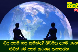 බුදු දහම යනු කුමක්ද? නිර්මල දහම ගැන ඔබත් මේ දහම් කරුණු දැනගන්න.
