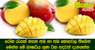 රෝග රැසක් නසන අඹ හා අඹ කොළවල තිබෙන මෙන්න මේ ඖෂධීය ගුණ ටික අදවත් දැනගන්න.