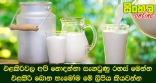 එළකිරිවල අපි නොදන්නා සැගවුණු රහස් මෙන්න එළකිරි බොන හැමෝම මේ ලිපිය කියවන්න.