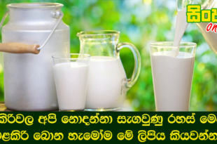 එළකිරිවල අපි නොදන්නා සැගවුණු රහස් මෙන්න එළකිරි බොන හැමෝම මේ ලිපිය කියවන්න.