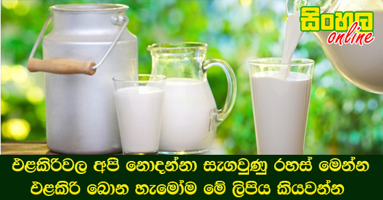 එළකිරිවල අපි නොදන්නා සැගවුණු රහස් මෙන්න එළකිරි බොන හැමෝම මේ ලිපිය කියවන්න.