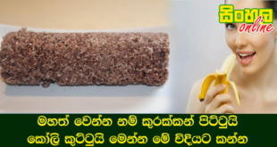 මහත් වෙන්න නම් කුරක්කන් පිට්ටුයි කෝලි කුට්ටුයි මෙන්න මේ විදියට කන්න.