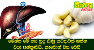 මෙන්න මේ අය සුදු ළුණු කවදාවත් කන්න එපා අන්ත‍්‍රාවයි, කෑවොත් විස වෙයි.