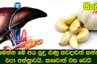 මෙන්න මේ අය සුදු ළුණු කවදාවත් කන්න එපා අන්ත‍්‍රාවයි, කෑවොත් විස වෙයි.