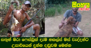 සතුන් මරා ෆේස්බූක් දැමූ ‘නකල්ස් මස් වැද්දන්ට’ උසාවියෙන් දුන්න දඬුවම.
