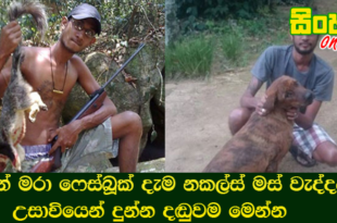 සතුන් මරා ෆේස්බූක් දැමූ ‘නකල්ස් මස් වැද්දන්ට’ උසාවියෙන් දුන්න දඬුවම.