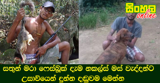 සතුන් මරා ෆේස්බූක් දැමූ ‘නකල්ස් මස් වැද්දන්ට’ උසාවියෙන් දුන්න දඬුවම.