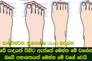 ඔබේ පාදයත් පිහිට ඇත්තේ මෙන්න මේ වගේනම් ඔබේ අනාගතයත් මෙන්න මේ වගේ වෙයි