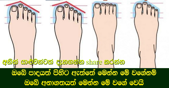 ඔබේ පාදයත් පිහිට ඇත්තේ මෙන්න මේ වගේනම් ඔබේ අනාගතයත් මෙන්න මේ වගේ වෙයි