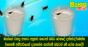 මැස්සෝ වහපු ආහාර අනුභව කරොත් ඔබට වෙනදේ දන්නවද?මෙන්න එහෙනම් අනිවාර්යෙන් දැනගන්න නැත්තම් ඔබටත් මේ රෝග හැදේවි.