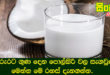 සිරුරට ගුණ දෙන පොල්කිරි වල සැගවුණු මෙන්න මේ රහස් දැනගන්න.