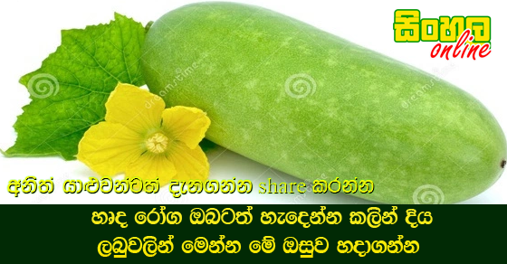 හෘද රෝග ඔබටත් හැදෙන්න කලින් දිය  ලබුවලින් මෙන්න මේ ඔසුව හදාගන්න