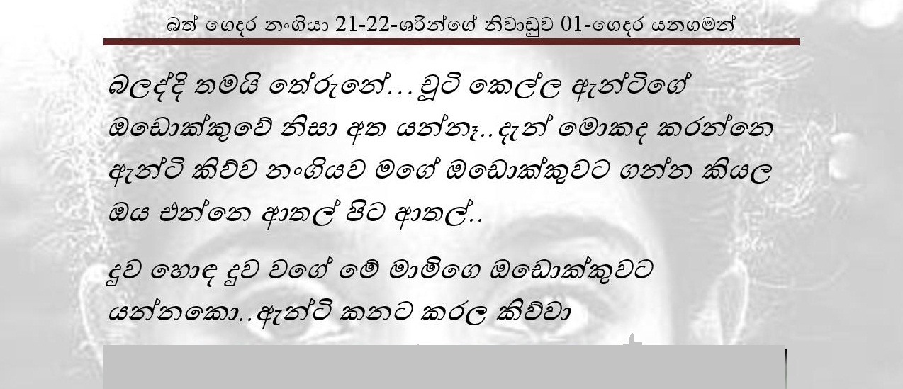 Bath+Gedara+Nangiya+21 22 page 018 walkatha9 Official සිංහල වල් කතා