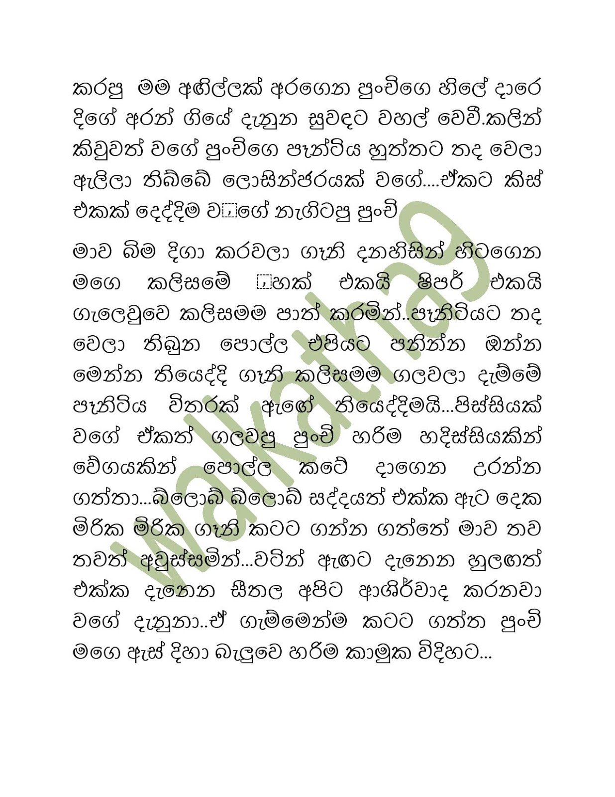 Sandu+Punchi+05 page 024 walkatha9 Official සිංහල වල් කතා