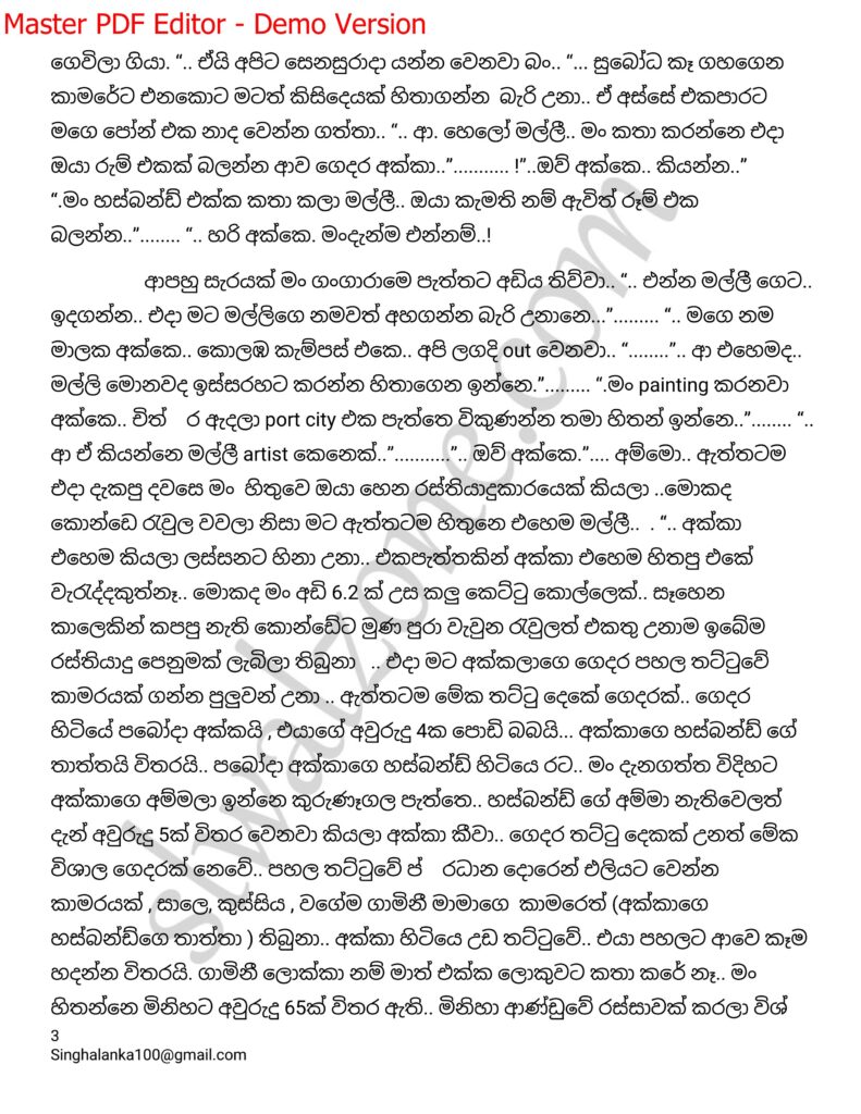 The Artist 01 3 1 walkatha9 Official සිංහල වල් කතා