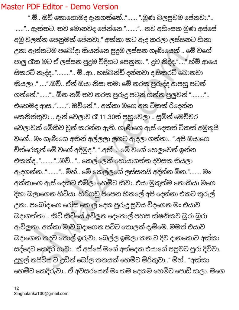 The Artist 03 12 walkatha9 Official සිංහල වල් කතා