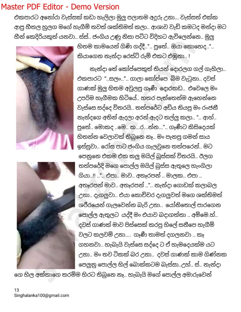 The Artist 05 13 walkatha9 Official සිංහල වල් කතා