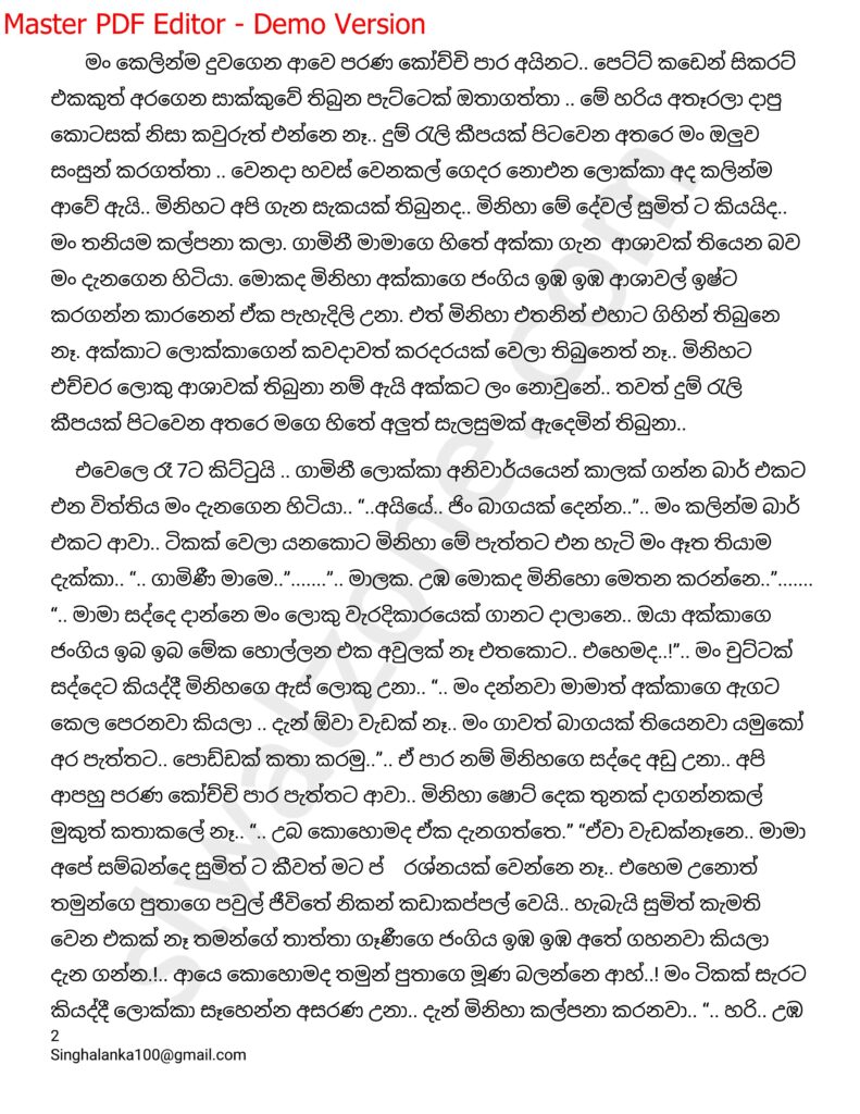 The Artist 05 2 walkatha9 Official සිංහල වල් කතා