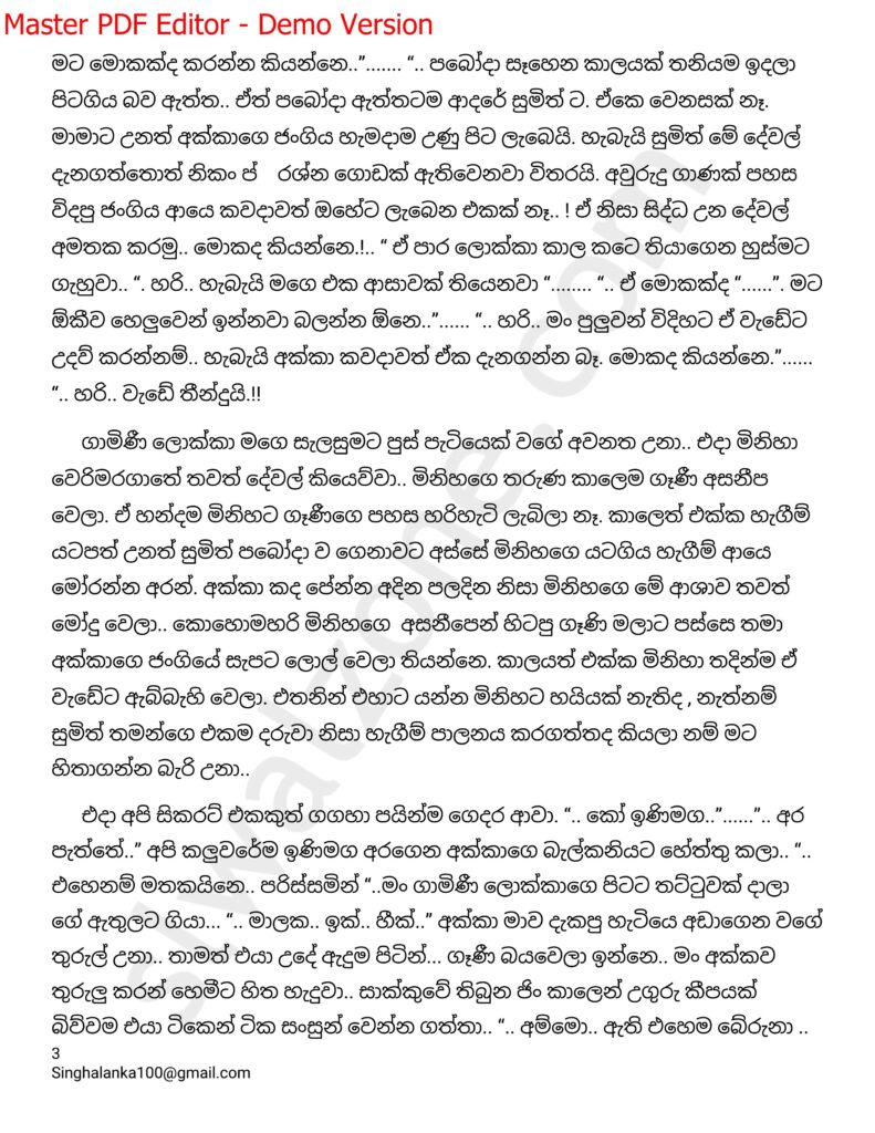 The Artist 05 3 walkatha9 Official සිංහල වල් කතා