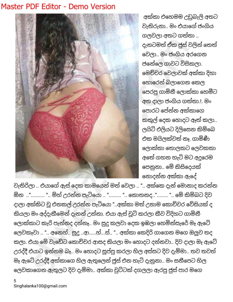 The Artist 05 5 walkatha9 Official සිංහල වල් කතා