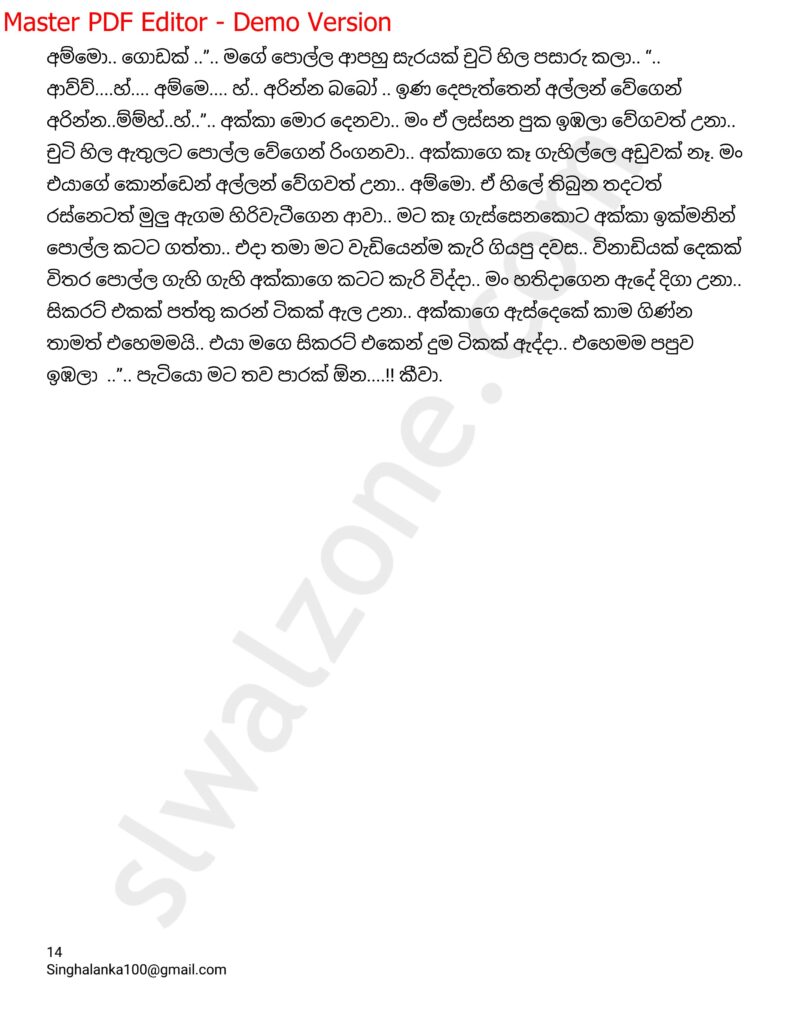 The Artist 06 14 walkatha9 Official සිංහල වල් කතා