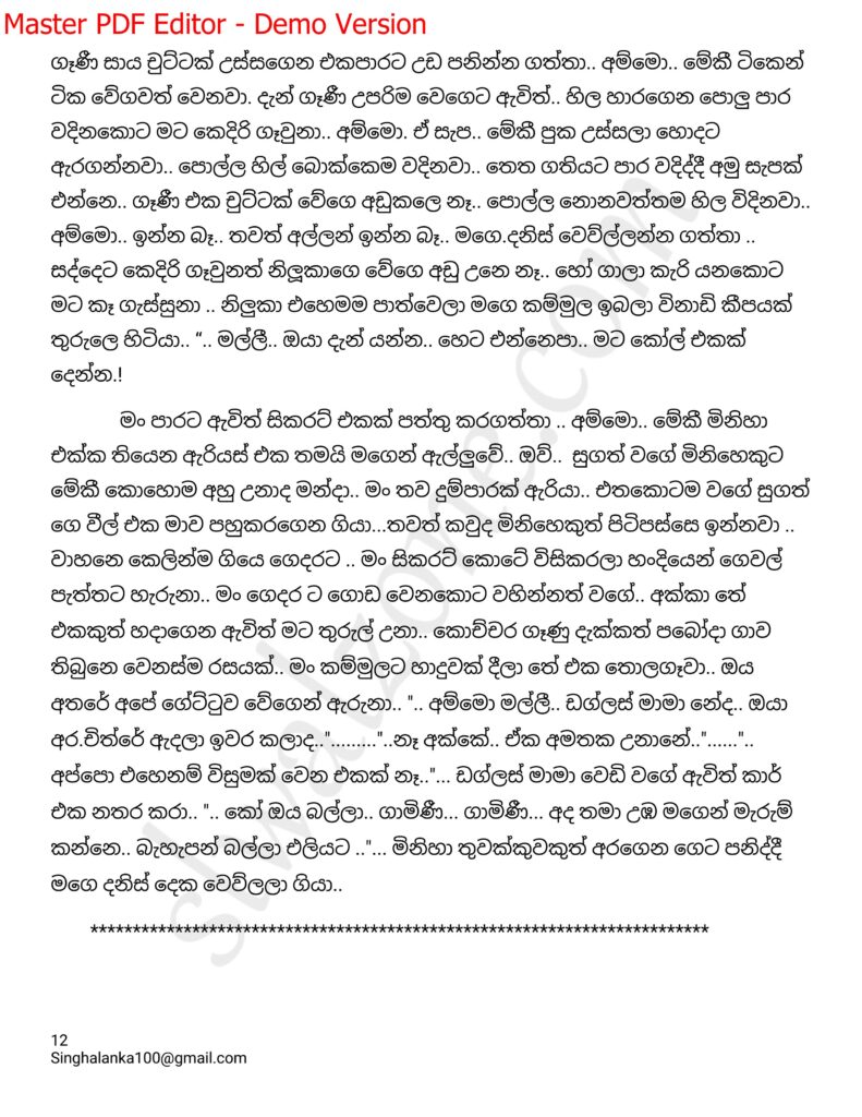 The Artist 07 12 walkatha9 Official සිංහල වල් කතා