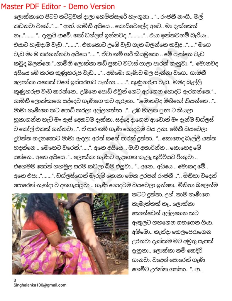 The Artist 07 3 walkatha9 Official සිංහල වල් කතා