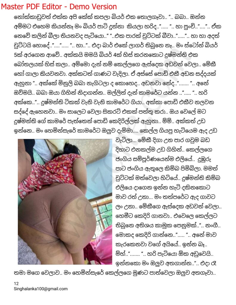 The Artist 08 12 walkatha9 Official සිංහල වල් කතා