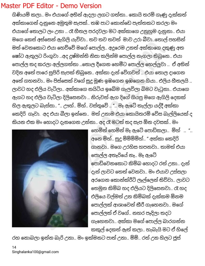 The Artist 08 14 walkatha9 Official සිංහල වල් කතා