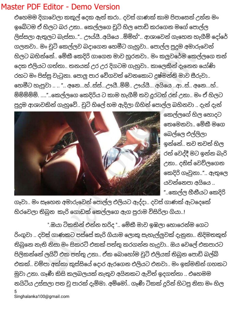 The Artist 11 5 walkatha9 Official සිංහල වල් කතා