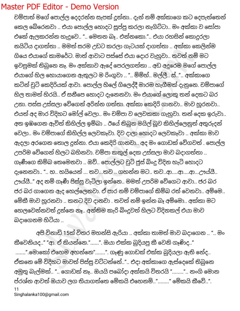 The Artist 12 11 walkatha9 Official සිංහල වල් කතා
