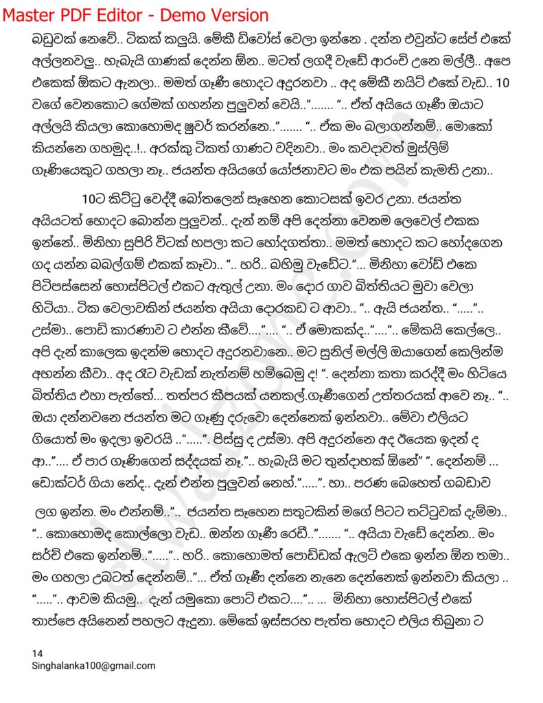The Artist 12 14 walkatha9 Official සිංහල වල් කතා
