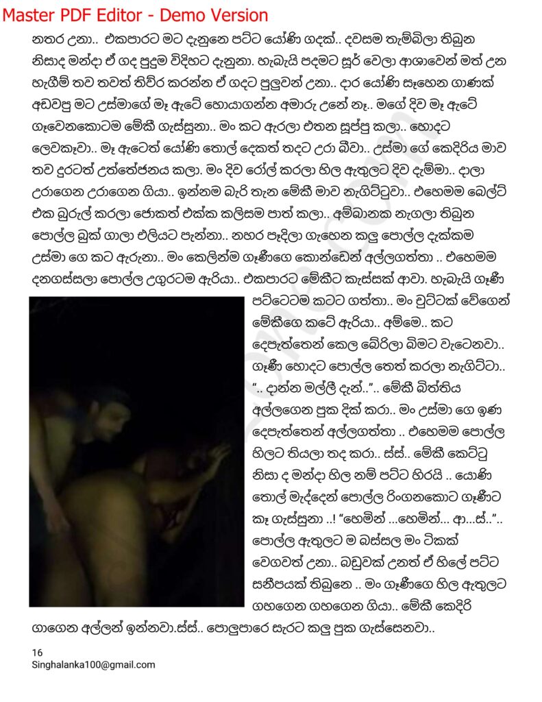 The Artist 12 16 walkatha9 Official සිංහල වල් කතා