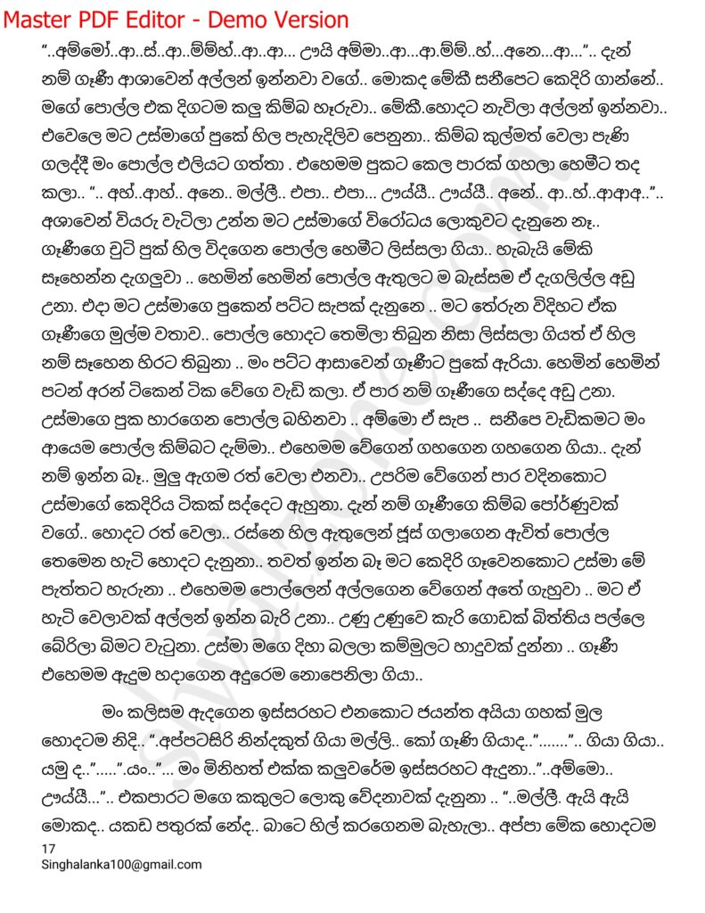 The Artist 12 17 walkatha9 Official සිංහල වල් කතා