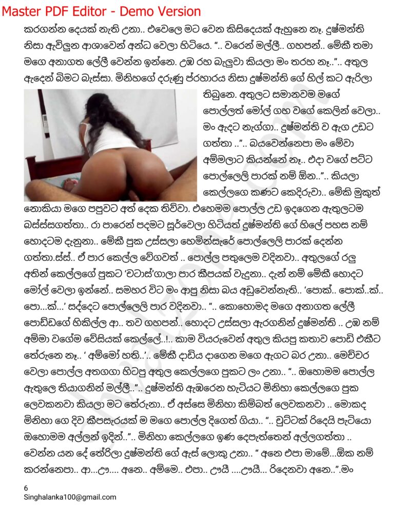 The Artist 12 6 walkatha9 Official සිංහල වල් කතා