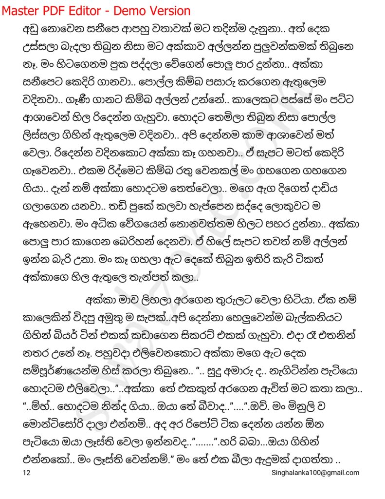The Artist 13 12 walkatha9 Official සිංහල වල් කතා