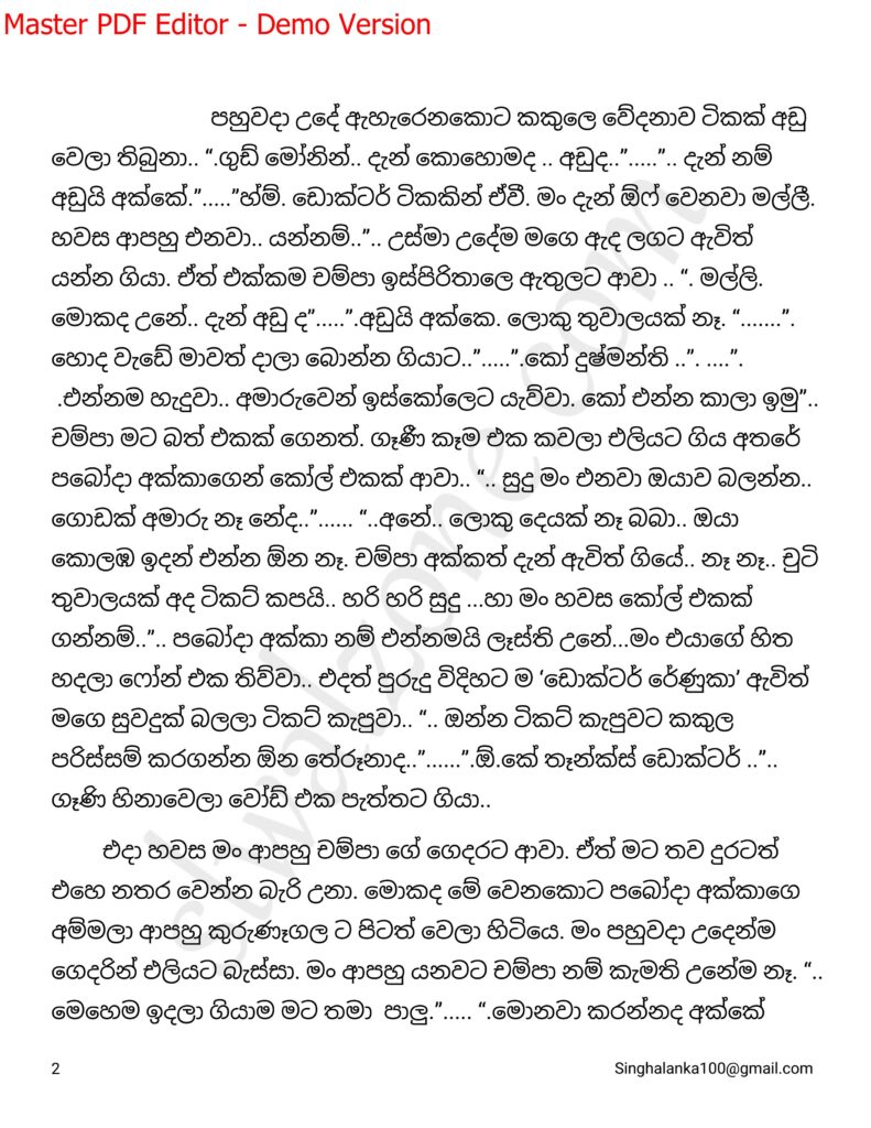 The Artist 13 2 walkatha9 Official සිංහල වල් කතා