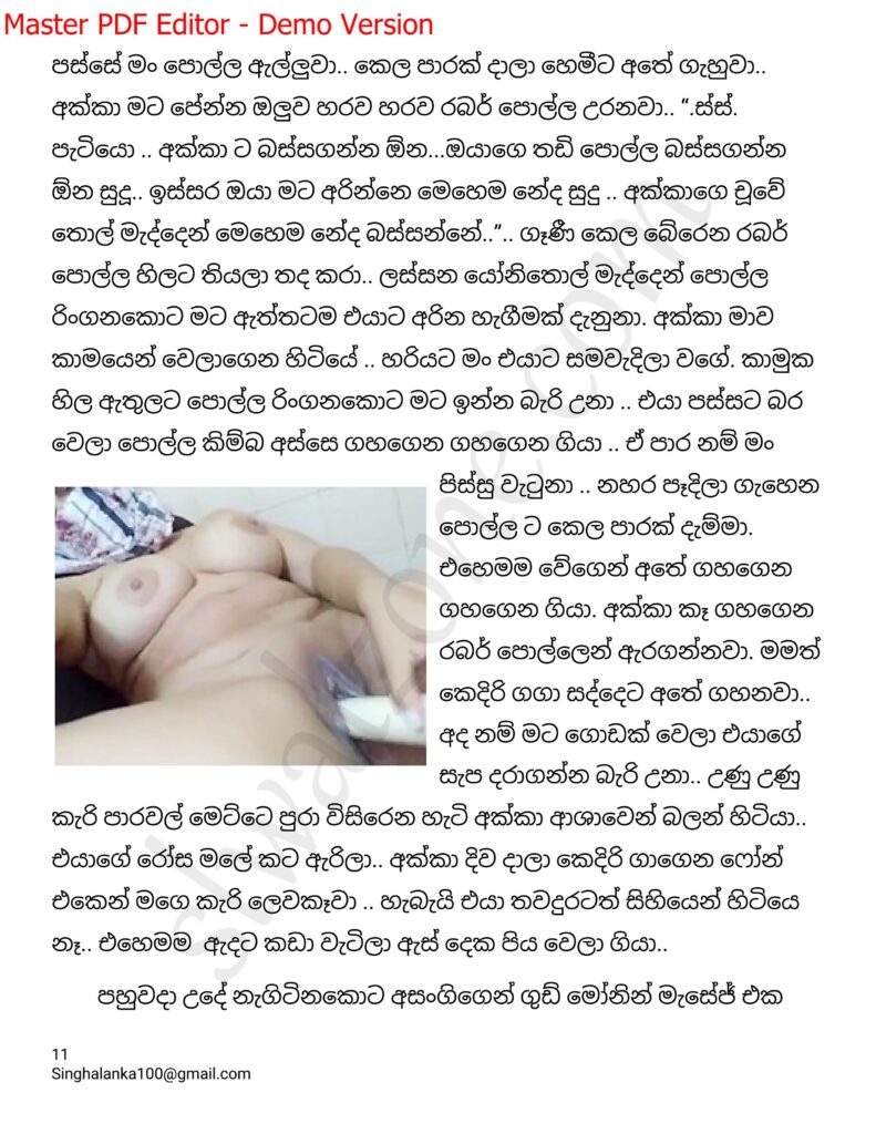 The Artist 15 11 1 walkatha9 Official සිංහල වල් කතා