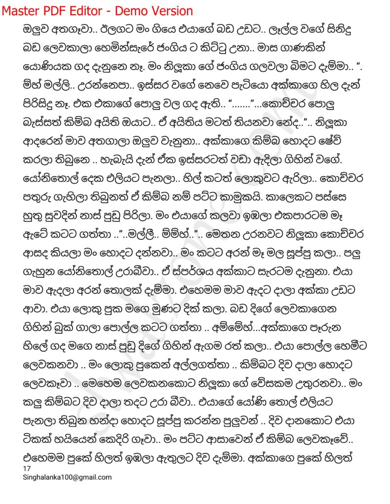 The Artist 15 17 1 walkatha9 Official සිංහල වල් කතා