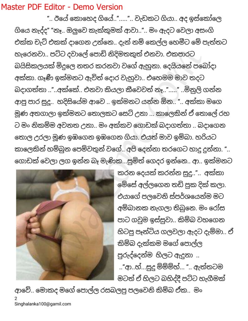 The Artist 16 2 walkatha9 Official සිංහල වල් කතා