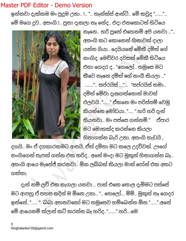 The Artist 16 5 walkatha9 Official සිංහල වල් කතා