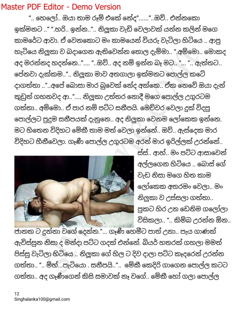 The Artist 17 12 walkatha9 Official සිංහල වල් කතා