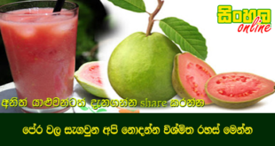 පේර වල සැගවුන අපි නොදන්න විශ්මිත රහස් මෙන්න.