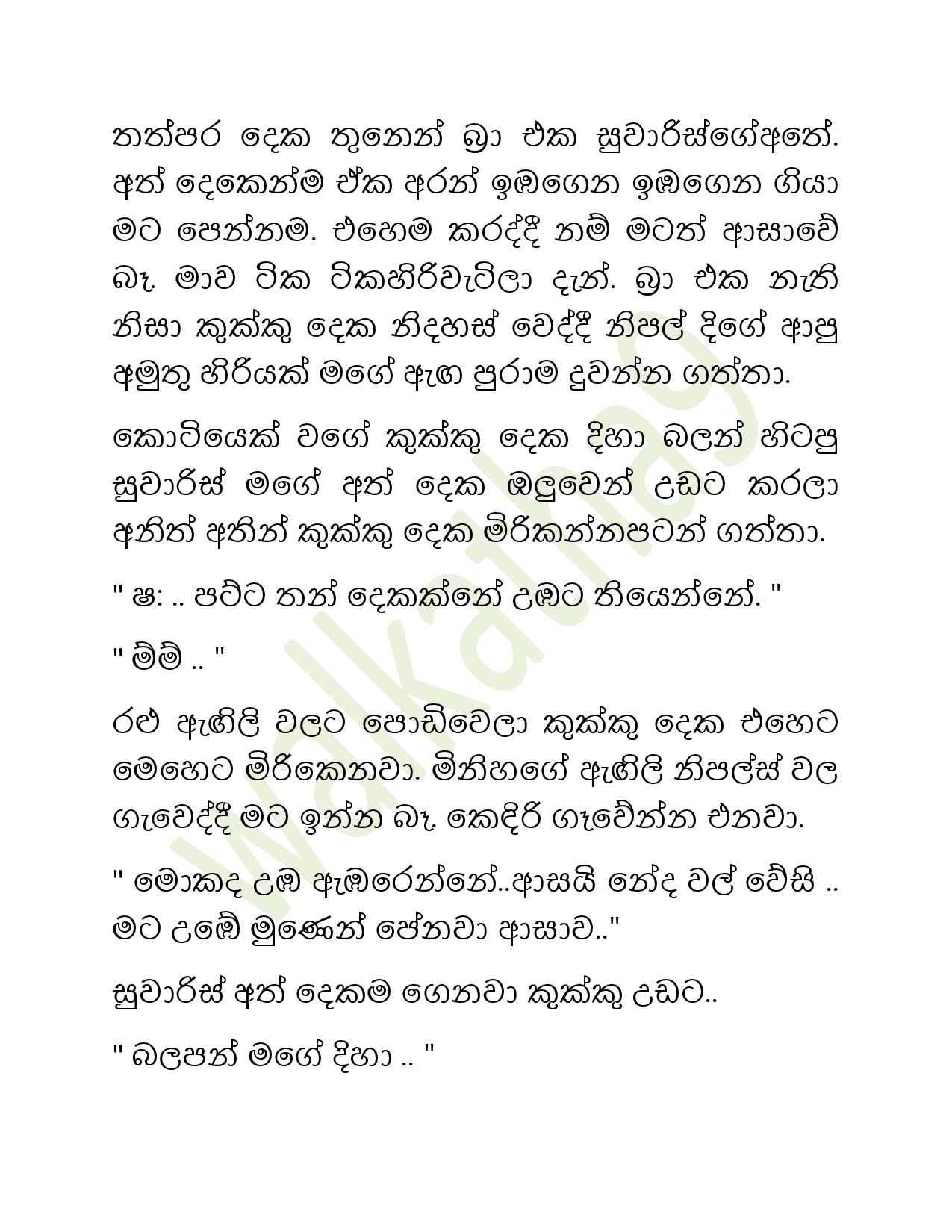 Paliganima+05 page 047 walkatha9 Official සිංහල වල් කතා