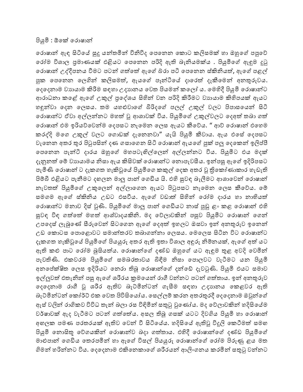 Sambandayaka+Sathuta+2 page 004 walkatha9 Official සිංහල වල් කතා