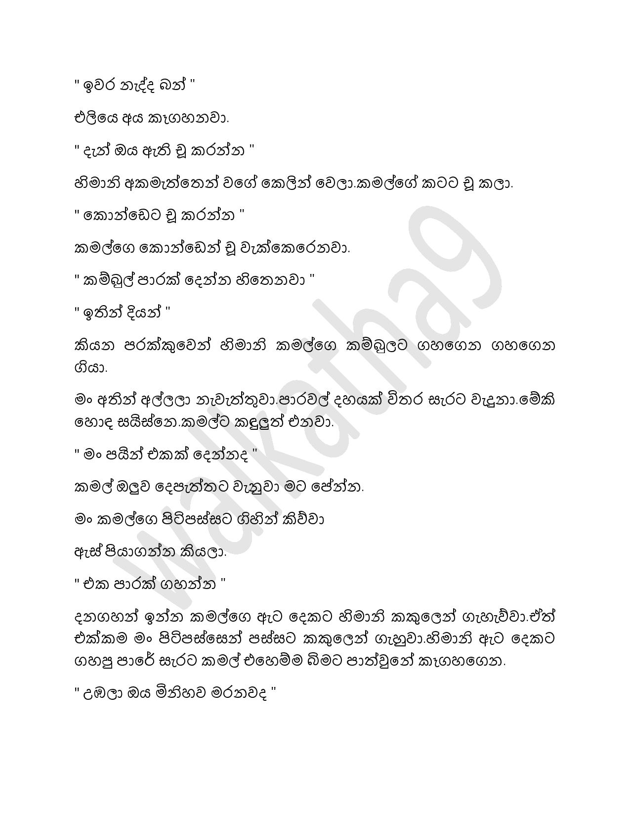 Samiya+Birindage+Sathutaya+18 page 012 walkatha9 Official සිංහල වල් කතා