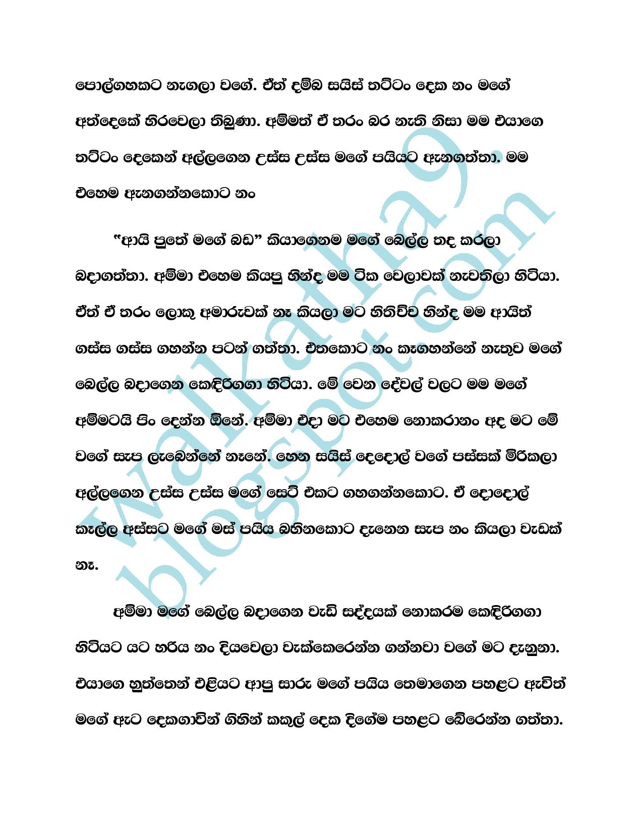 Thaththage+Thana+04 page 025 walkatha9 Official සිංහල වල් කතා